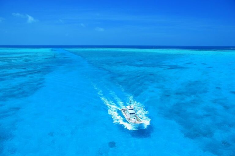 3/26　ブレーキのない船は