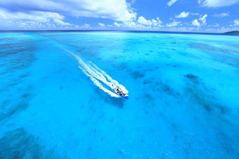 4/1　ときどき海ガメとすれ違ったりしながら