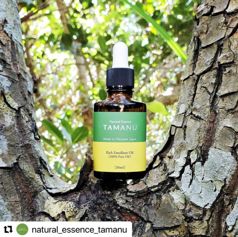 4/15　天然の万能薬と言われるタマヌオイルに