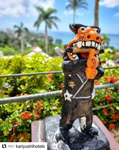 4/8　しゅりけんシュシュシュー🌺