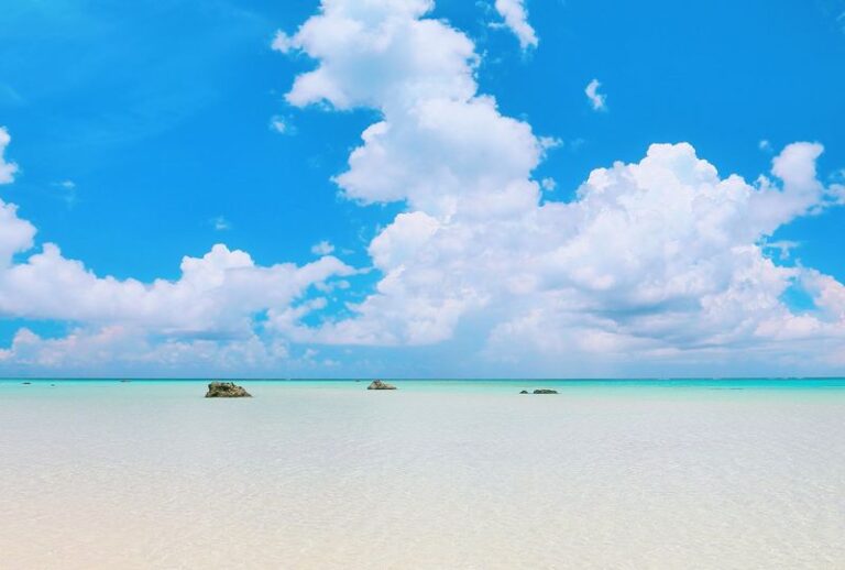 6/10　クリームソーダみたいな色の