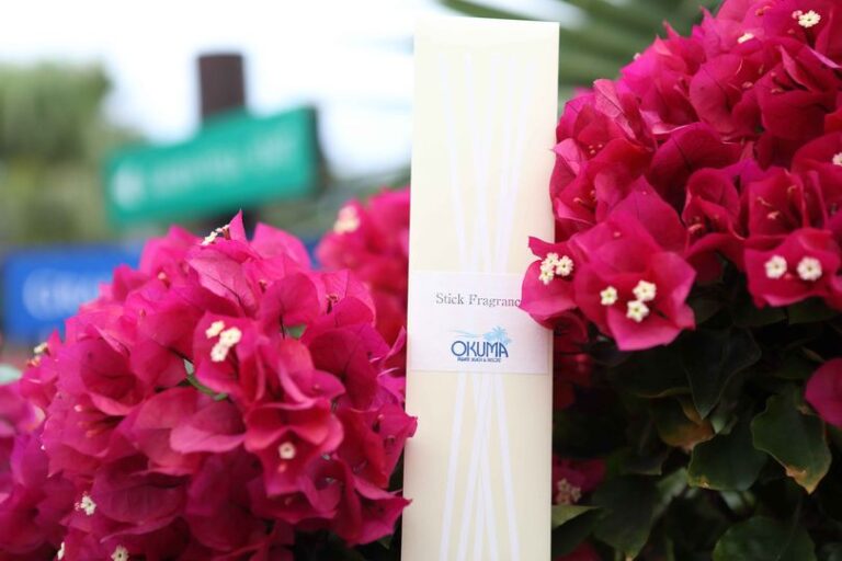 5/23　ブーゲンビリアの鮮やかな色を