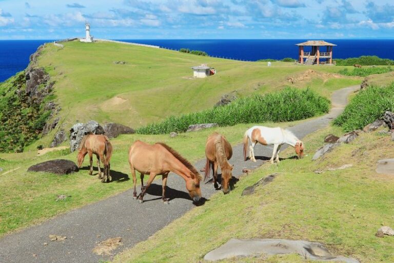 5/28　Good morning🌞