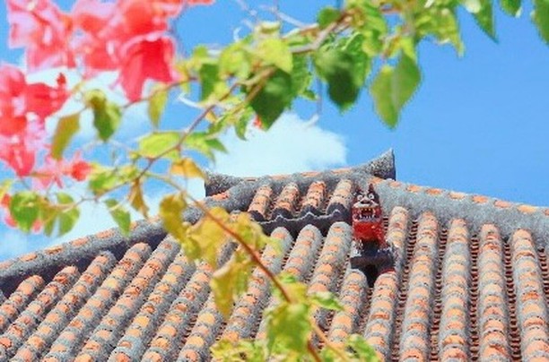 5/31　6月ということは…