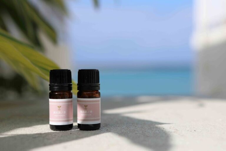 6/13　セナガ島は