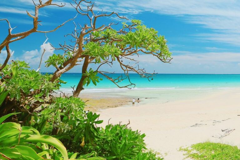 6/18　空が眩しくて、海も眩しくて