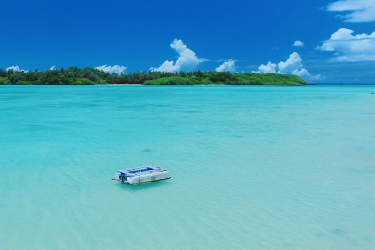 6/28　夏、始まりましたね🌺