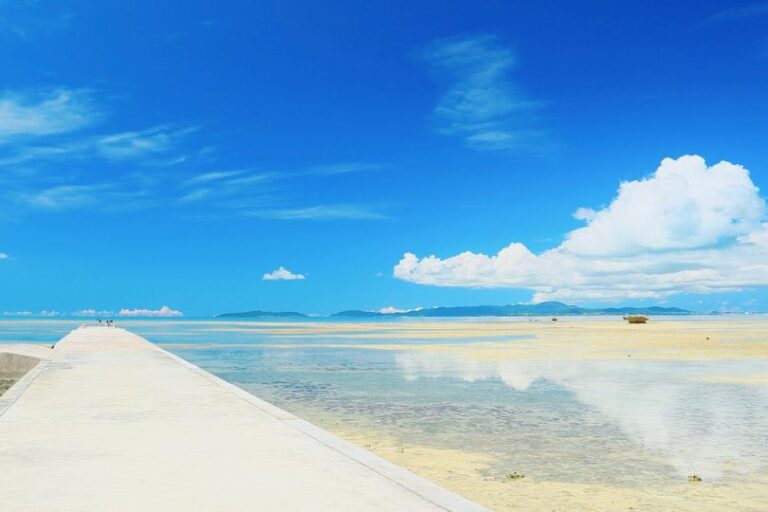 6/4　一直線にのびる