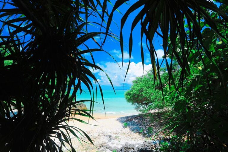 7/2　はてるまブルーに抜ける道