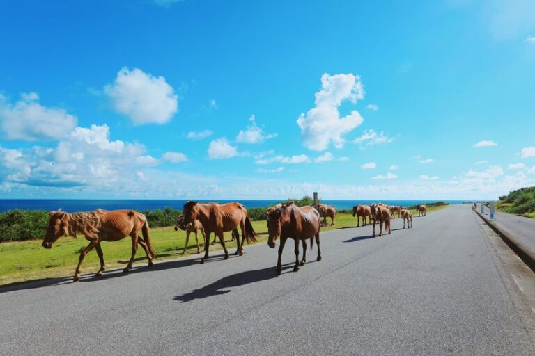 8/22　「ずっと夏休みだったらいいのになー」