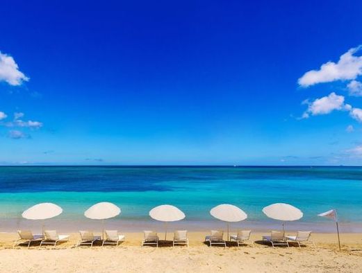 8/26　真っ白で丸い