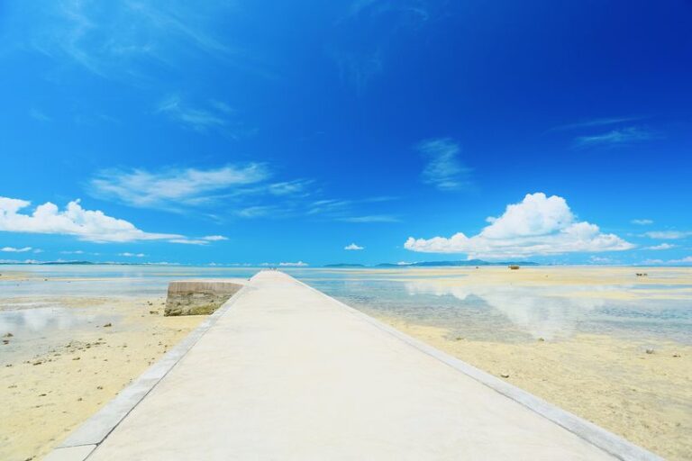 8/27　長さはだいたい350メートル