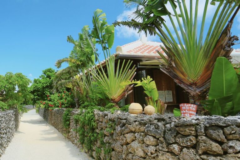 2/4　扇のように広がるのは