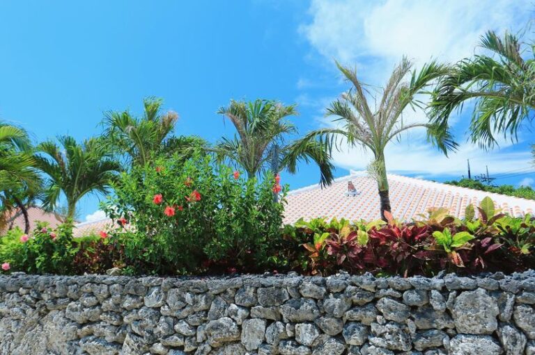 10/13　🌺キャンペーンのお知らせ🌺