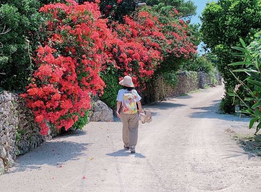 10/14　みなさまステキな秋の休日を🌺