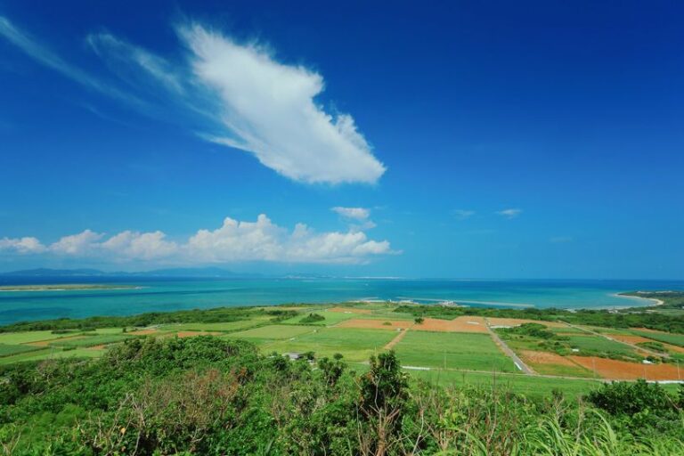 11/26　なんだか