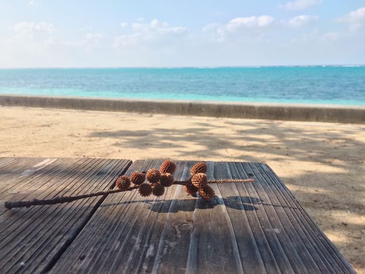 11/29　秋の南の島のビーチを散歩してて