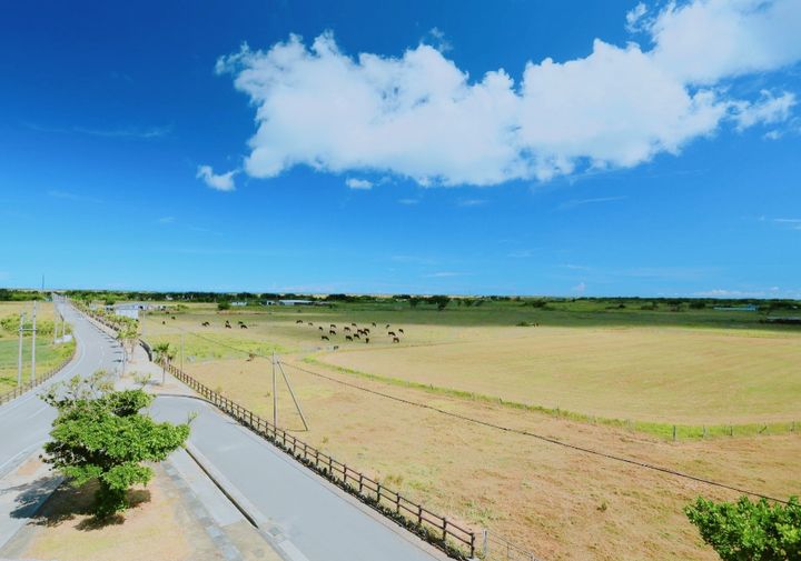 1/3　石垣島からは船で30分くらい