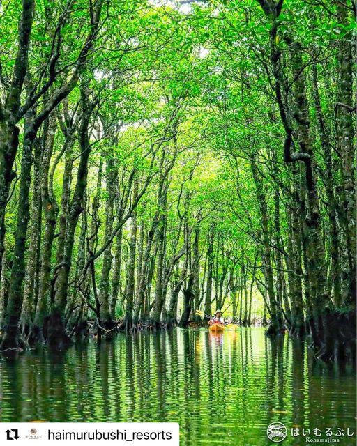 1/20　日本でも、外国でもない