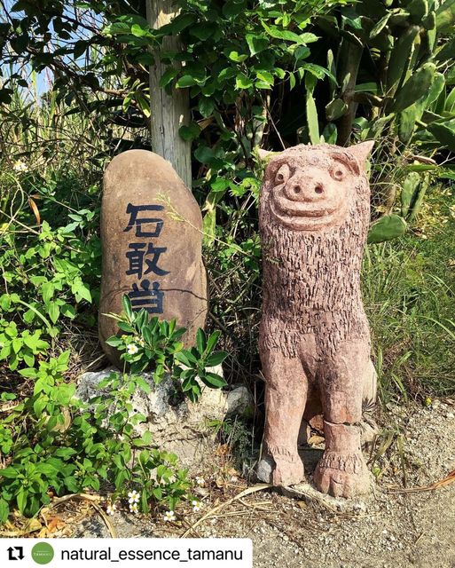 1/13　か、、かわいい