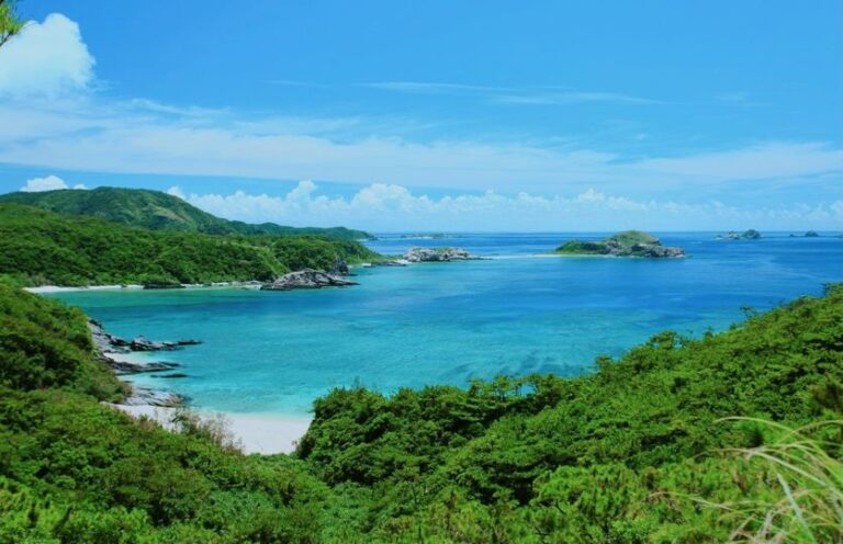 1/17　のろまと言われるカメですが