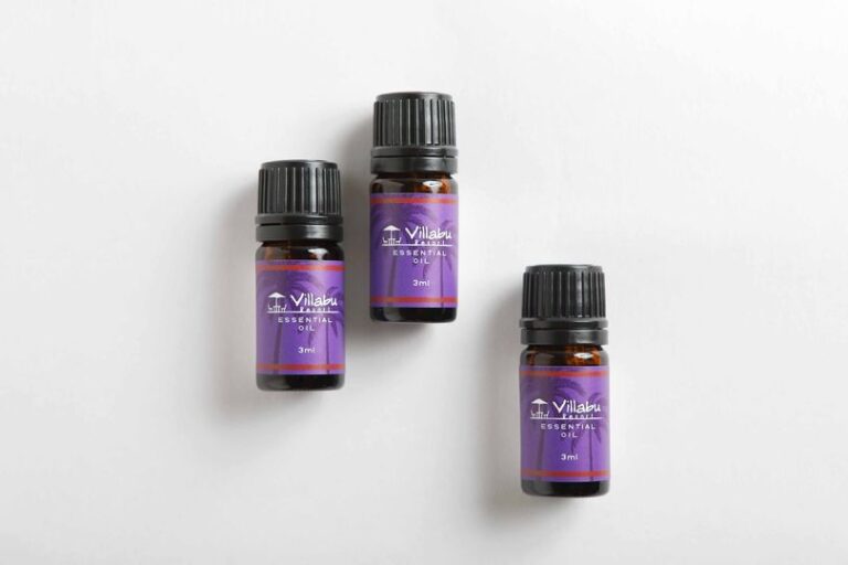 1/23　イラブ島にある