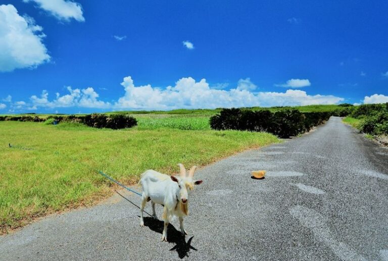 1/28　ここの草飽きたから場所変えて〜