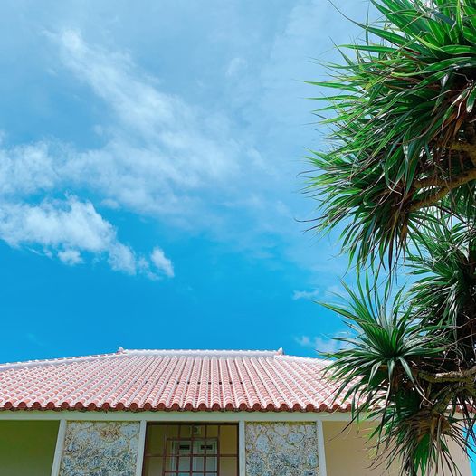 2/18　真っ青な空の日は