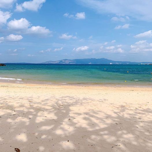 5/6　だーるーまーさーんころんだ！