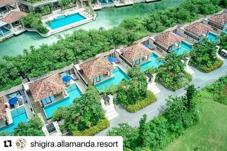 6/30　つゆ明けまして夏です🌞