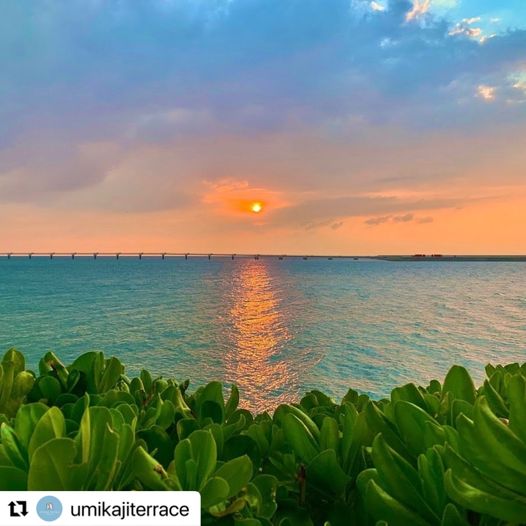 7/14　午後の便で飛べば