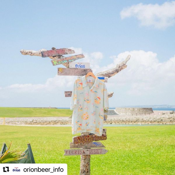 7/21　かわアロハ〜🌺🌺