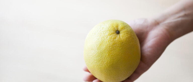 11/5　ホテルのリクエストから生まれました