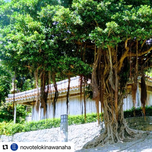 10/20　石畳の道をてくてく歩いて