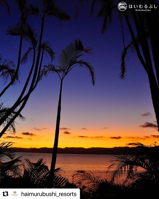 12/8　珊瑚礁に囲まれた小さな島の夕暮れ🏝