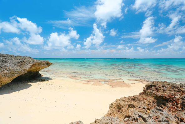 1/14　今日も良い天気の沖縄です。