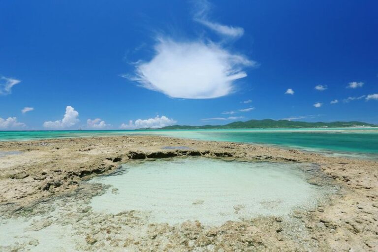 5/10　たまにある、岩礁海岸の水たまり。