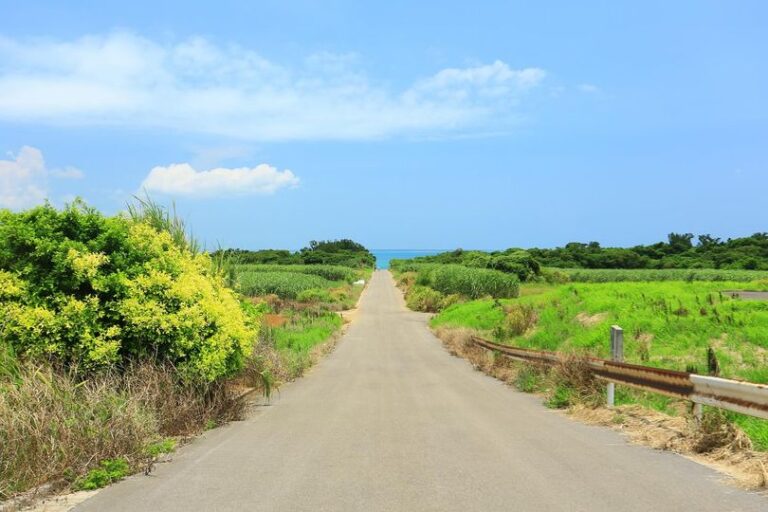 5/24　ゆるりと優しい時間が流れる小浜島🏝️