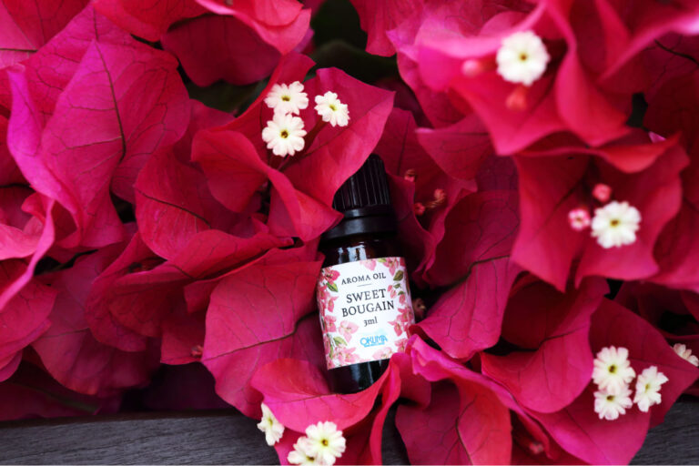 11/8　スイートブーゲンという名前の香り🌺