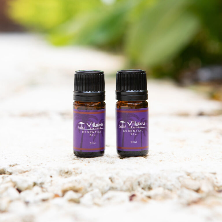 10/31　誰にも教えたくない隠れ家リゾート🏝️