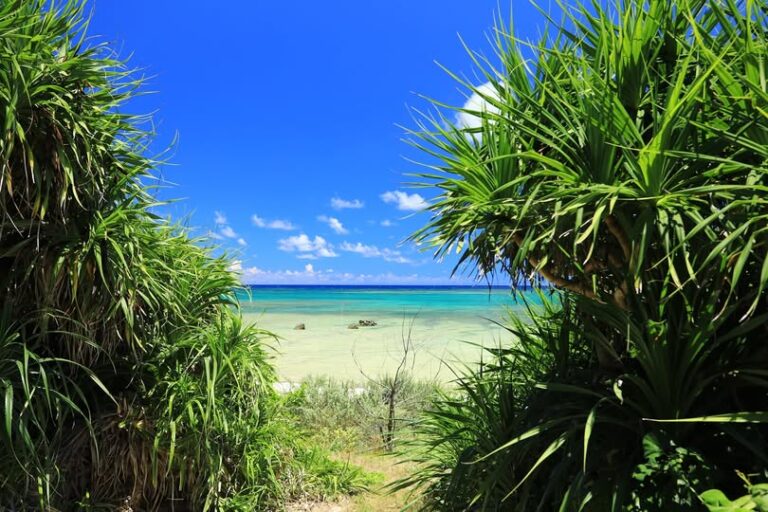 11/5　まあるいカタチのタラマ島は