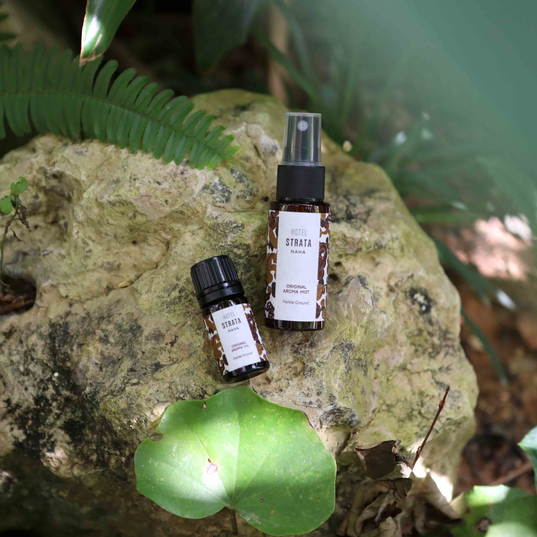 緑が広がる癒しの空間