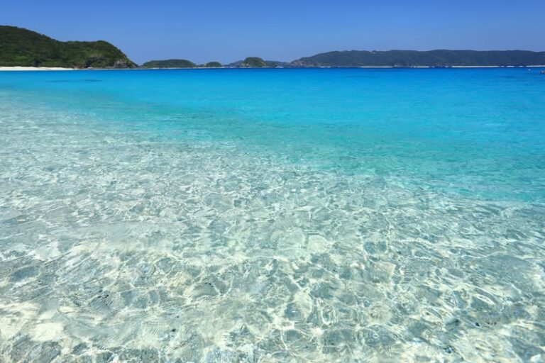 8/2　ザマミ島の夏🌞
